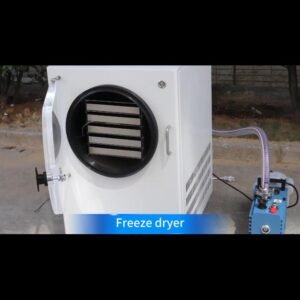 Lyophilizer Low Cost Freeze Drying Machine Mini Freeze Dryer